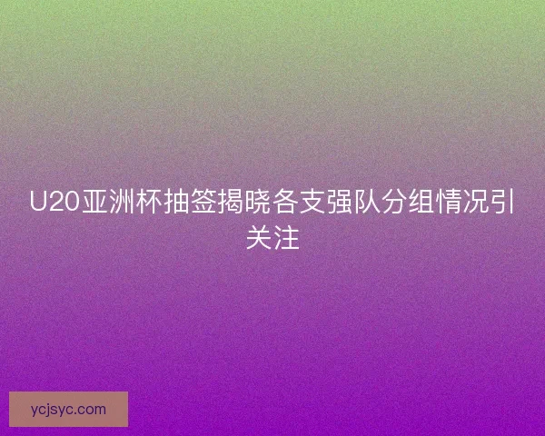 U20亚洲杯抽签揭晓各支强队分组情况引关注