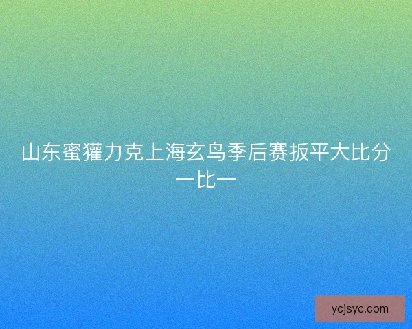 山东蜜獾力克上海玄鸟季后赛扳平大比分一比一